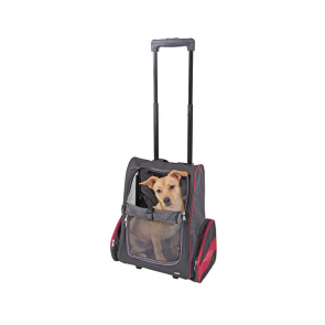 Trolley Vacation (1)